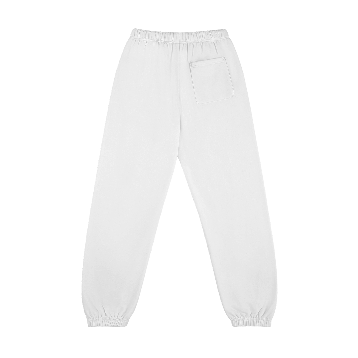 0-YLI-Back Side